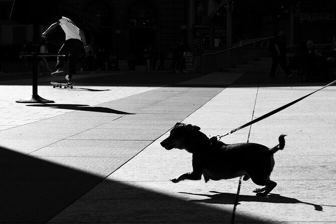 Street Photography Workshops in London - The Value of the Guides