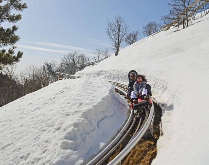 Stresa: Alpyland Alpine Coaster Ride on Mount Mottarone - The Ride Experience: What You Can Expect