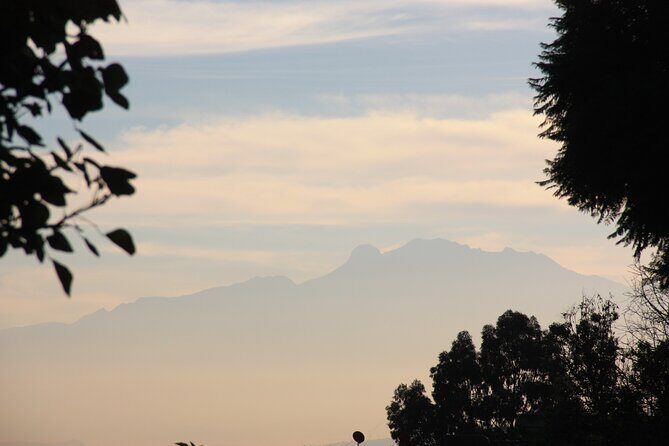 Stroll in the famous floating gardens of ancient Mexico - Key Points