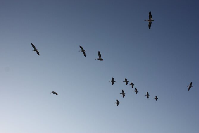 Stroll in the famous floating gardens of ancient Mexico - The Practical Side: Details that Matter