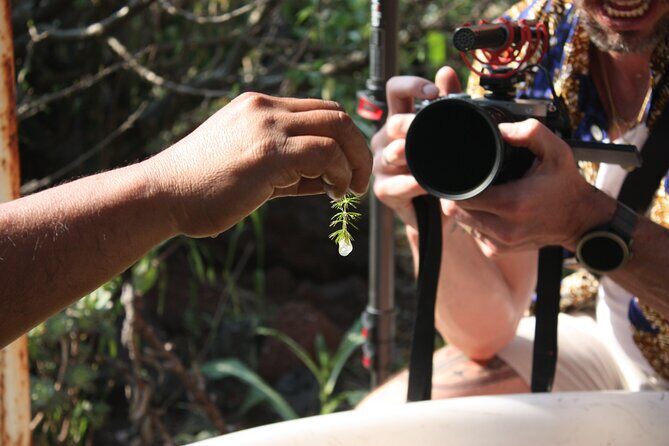 Stroll in the famous floating gardens of ancient Mexico - Who Will Love This Tour?