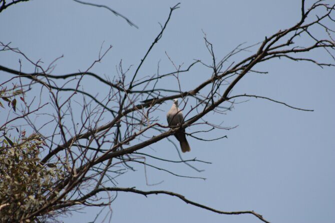 Stroll in the famous floating gardens of ancient Mexico - FAQs