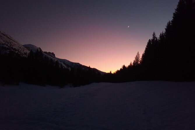 Stroll in the stars Private activity - Who Will Love This Tour?