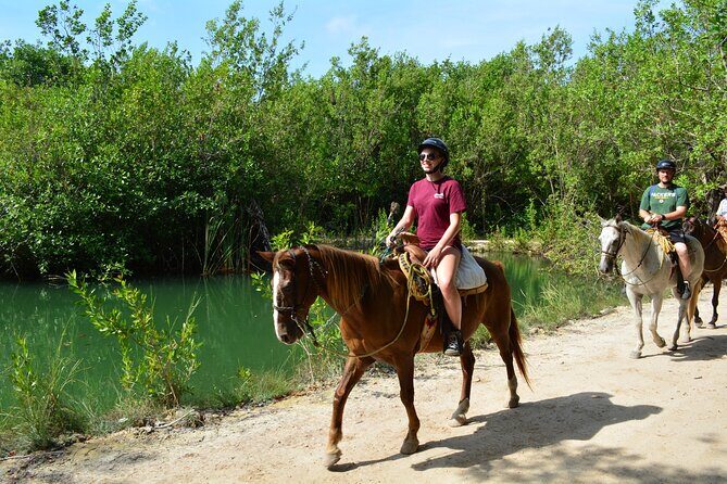 STROLL the Jungle Trails on a HORSE. Includes Transportation and Equipment. - An Overview of the Experience