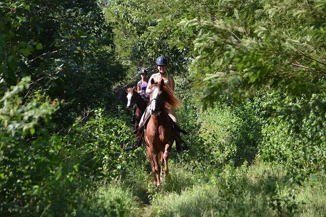 STROLL the Jungle Trails on a HORSE. Includes Transportation and Equipment. - What Travelers Say: Authentic Experiences and Honest Feedback