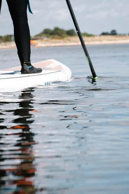 Studland Bay, Dorset: Paddleboarding Lesson - The Coastline and Wildlife Encounters