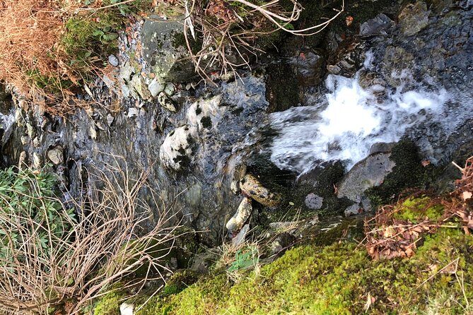 Stunning Lake District 4 Hour Tours! - Who Is This Tour Best For?