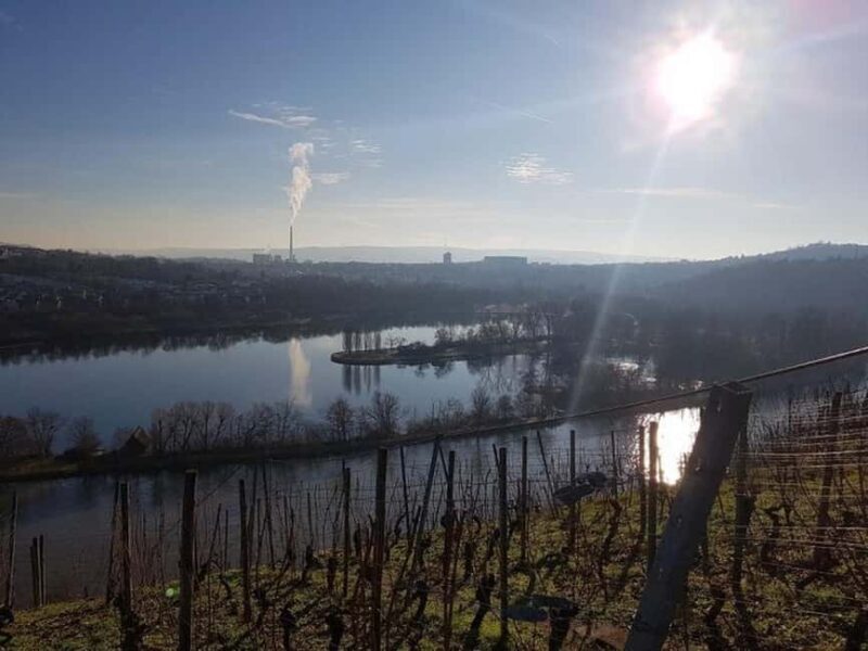 Stuttgart: 4-castle winter hike with costume tour - An Overview of the Experience