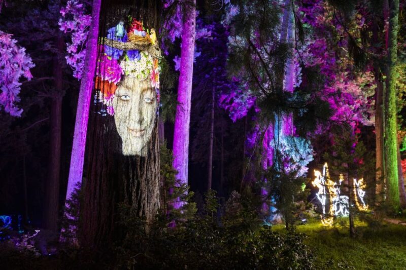 Stuttgart: Christmas Garden at the Wilhelma Zoo - The Overall Experience: Balancing Highlights and Limitations