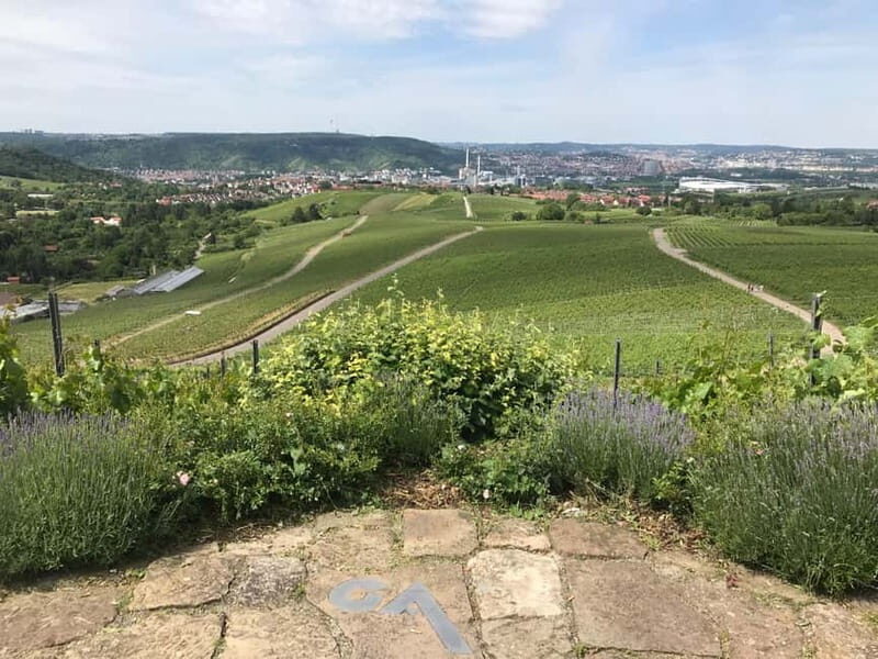 Stuttgart: E-bike wine tour including tasting - The Experience in Detail