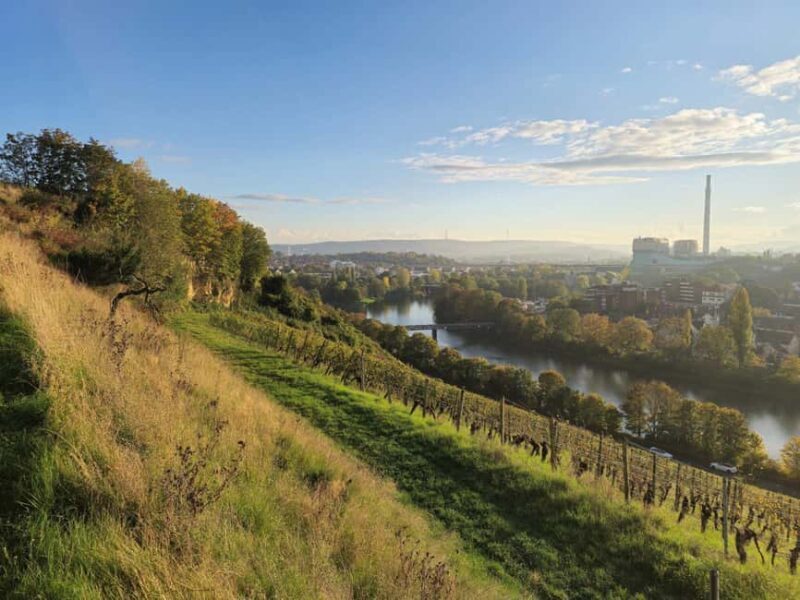 Stuttgart: Exklusive Floßboote Finne & Fischle - What You Can Expect on the Tour