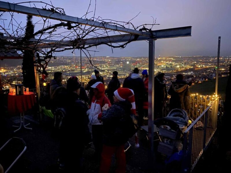 Stuttgart: Guided Glühwein Tour - A Cozy Walk Through Stuttgart’s Winter Vineyards: Our Take on the Guided Glühwein Tour