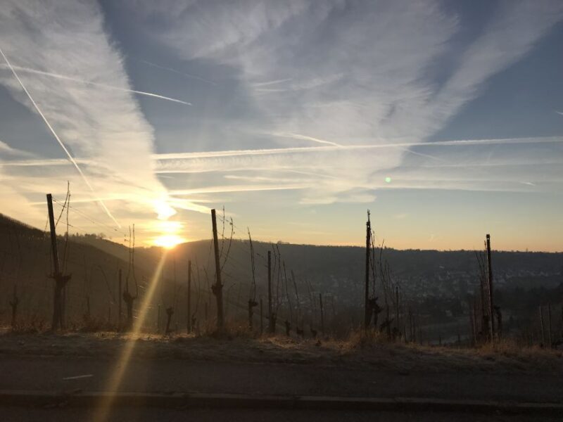 Stuttgart: Guided Glühwein Tour - How Does This Tour Compare to Other Stuttgart Experiences?