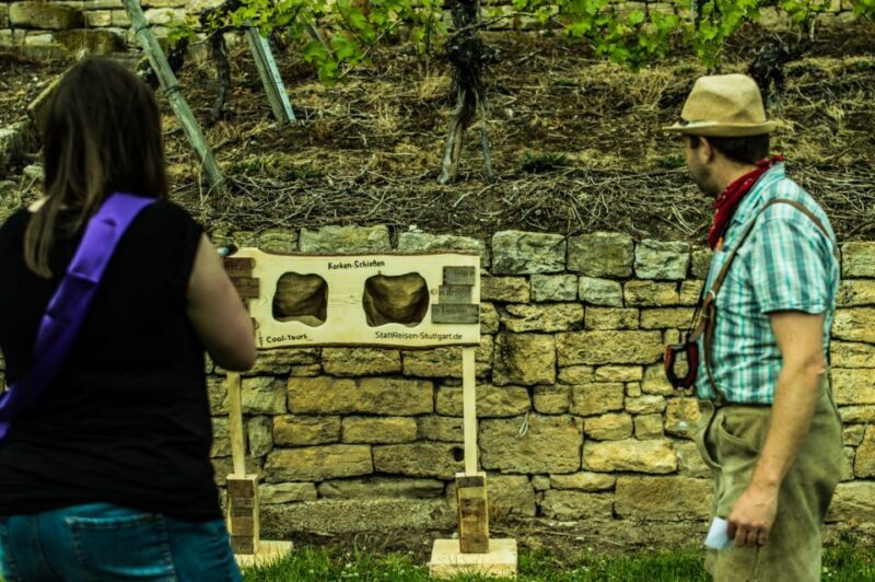 Stuttgart: Guided Vineyards Tour - Final Thoughts