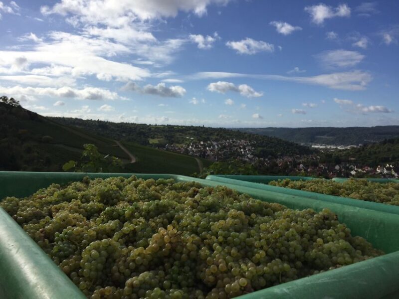 Stuttgart: Guided Wine Walk & Wine Tasting - Who Is This Tour For?