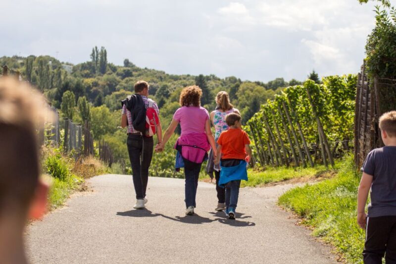 Stuttgart Nature Experience Day - What Do Travelers Say?