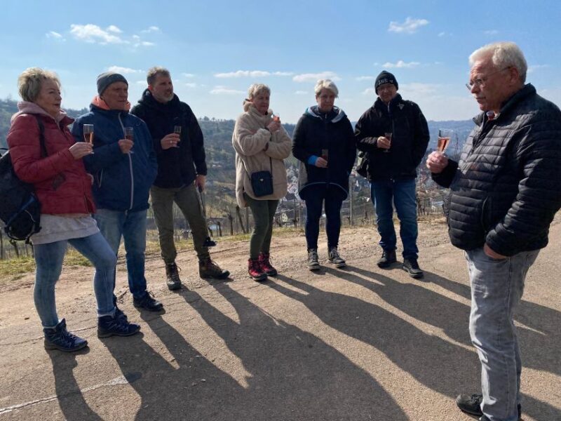 Stuttgart: Sparkling Wine Tour - Exploring the Vineyards