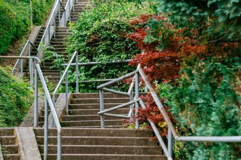 Stuttgart: Stäffele Guided Walking Tour - The Views and Landmarks