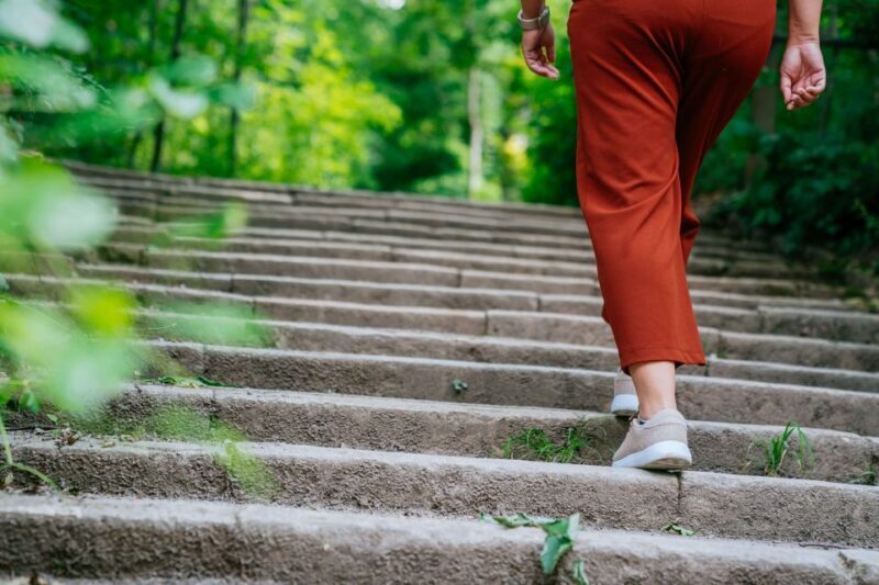 Stuttgart: Stäffele Guided Walking Tour - Price and Value