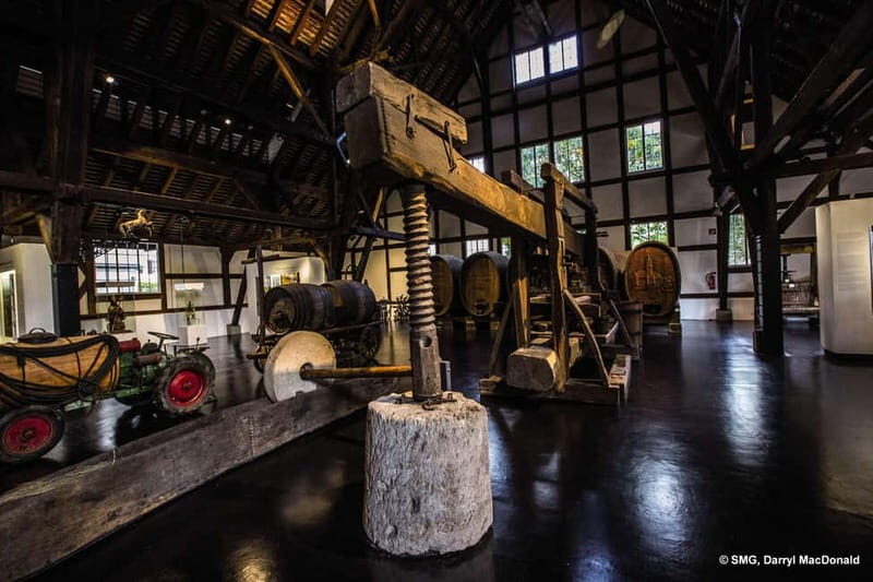 Stuttgart: Taster tour of the Wine Museum incl. 0.1 l wine - Why You Might Want to Consider This Tour