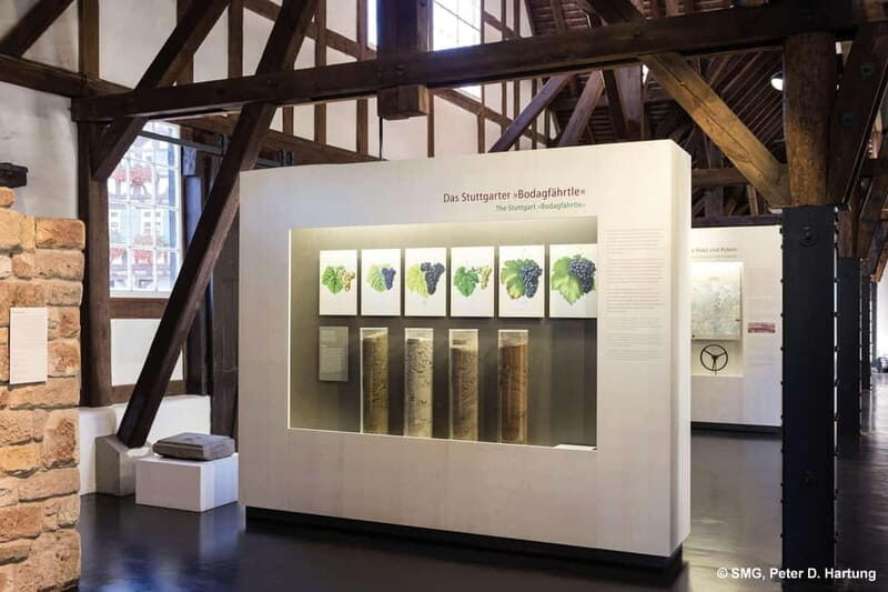 Stuttgart: Taster tour of the Wine Museum incl. 0.1 l wine - Final Thoughts: Who Will Love This Tour?