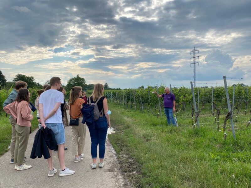 Stuttgart: Wine Tour with wines of the best winemakers - What’s the Tour Really Like? A Deep Dive