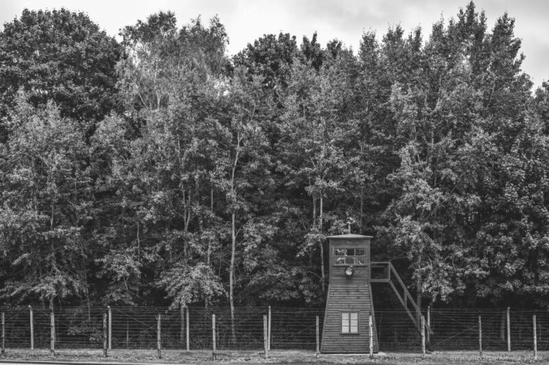 Stutthof Concentration Camp Half-Day Private Tour - The Experience of Reviews