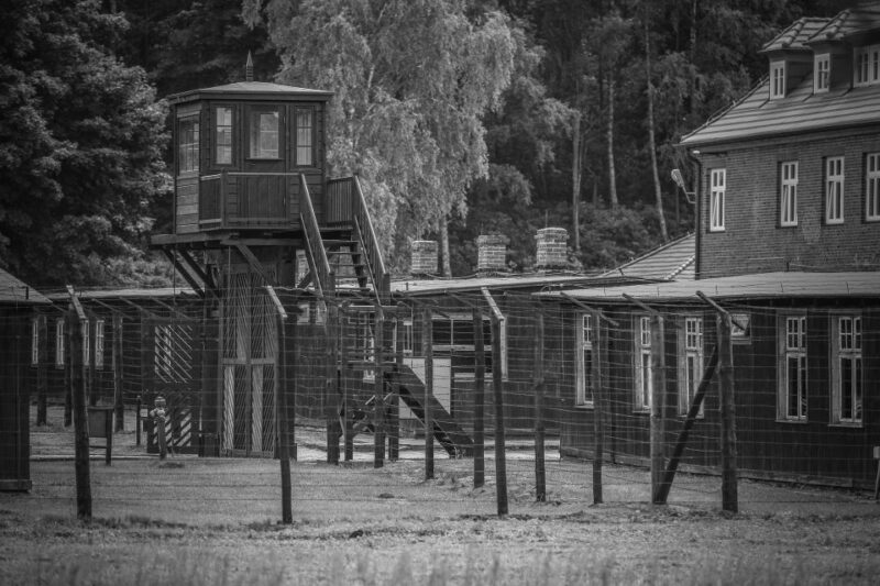 Stutthof Concentration Camp Half-Day Private Tour - In-Depth: What You’ll See and Experience