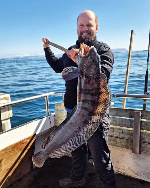 Stykkishólmur: Sea Angling Tour with Local Guide - Key Points