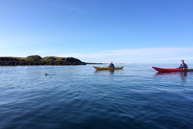 Stykkisholmur Sea kayak Day tour - Key Points