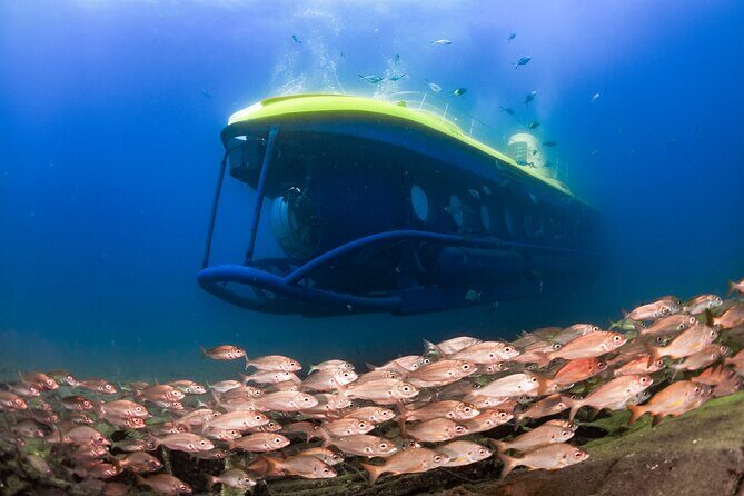 SUBMARINE ADVENTURE - Submarine Excursion in Puerto de Mogán - Key Points