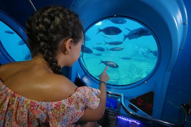 SUBMARINE ADVENTURE - Submarine Excursion in Puerto de Mogán - Pricing and Value for Money