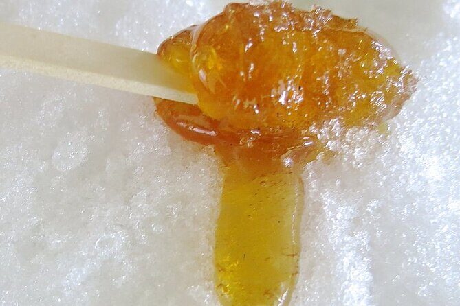 Sugar Shack Full Day Tour from Montreal - Final thoughts