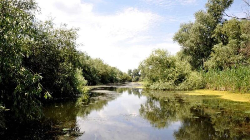 Sulina: Danube Delta Boat Tour with Wildlife Spotting - Key Points