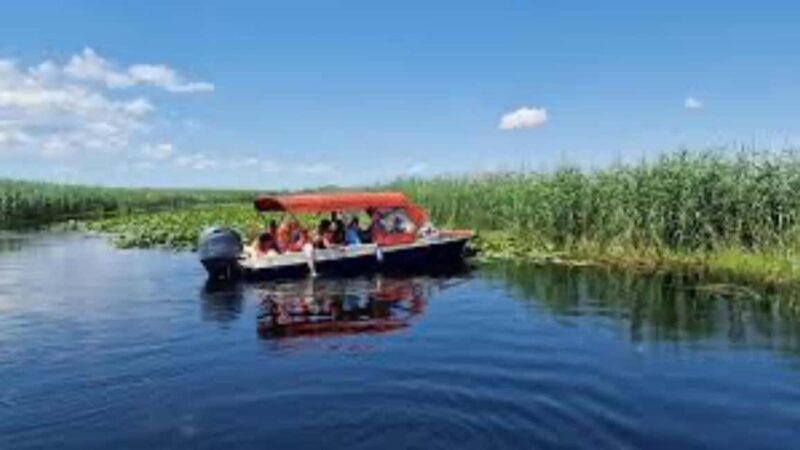 Sulina: Danube Delta Boat Tour with Wildlife Spotting - Exploring the Danube Delta: What to Expect