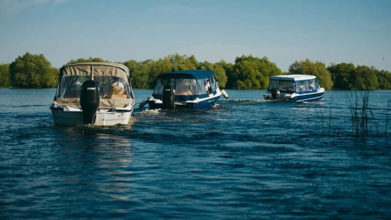 Sulina: Danube Delta Boat Tour with Wildlife Spotting - What’s Included and What’s Not