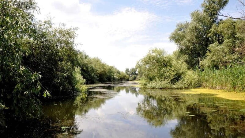 Sulina: Mila 23 Village Boat Trip in the Danube Delta - The Practical Side: Logistics and Value