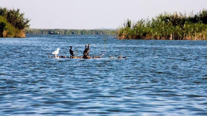 Sulina: Mila 23 Village Boat Trip in the Danube Delta - Final Thoughts