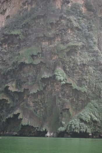 Sumidero Canyon & Chiapa de Corzo from San Cristobal - What the Critics Say: Honest Reviews