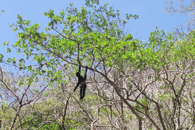 Sumidero Canyon & Chiapa de Corzo from Tuxtla & San Cristobal - FAQ