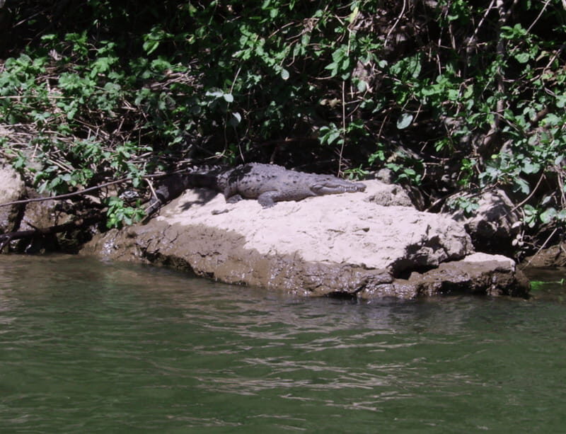 Sumidero Canyon & Chiapa de Corzo from Tuxtla - Final Thoughts