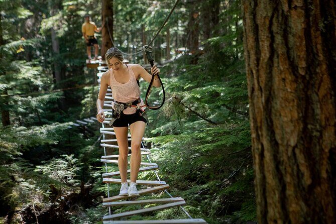 Summer Day Ticket at TAG - Who Would Enjoy This Tour?