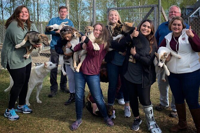 Summer Dog Sledding Adventure in Willow, Alaska - FAQs