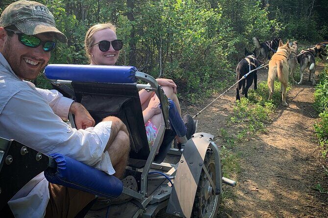 Summer Dog Sledding Adventure in Willow, Alaska - Final Thoughts