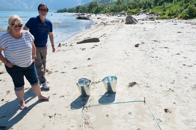 Summer Fjord Road Trip with Citizen Science with Wandering Owl - Practical Details & What You Should Know
