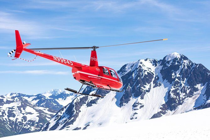 Summer Glacier Dogsledding Tour from Girdwood - An In-Depth Look at the Glacier Dogsledding Experience