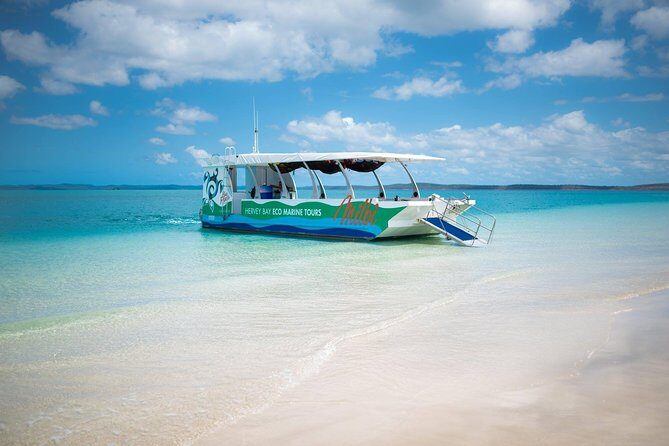 SUMMER K'gari (Fraser Island) Boom-net & Sightseeing Cruise - The Cost and What You Get