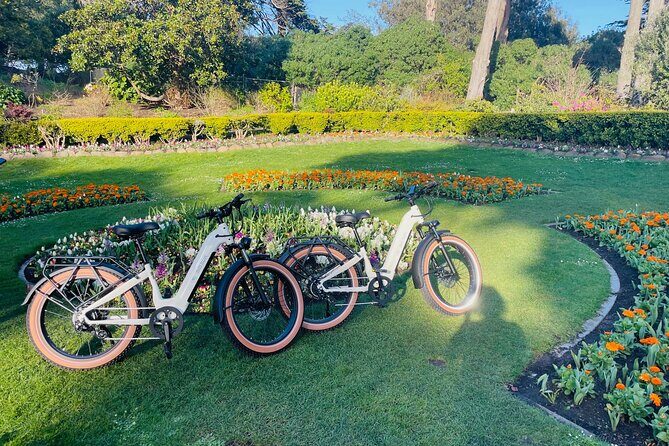 Summer of Love San Francisco Guided eBike Tour Golden Gate Park - How the Tour Comes Together
