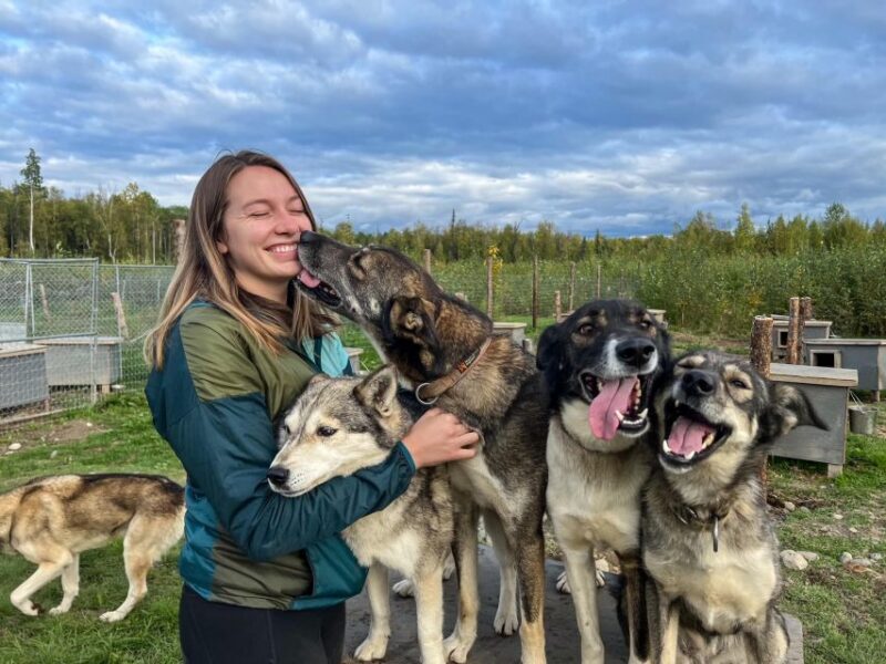Summer Sled Dog Kennel Tour - What to Expect from the Summer Sled Dog Kennel Tour