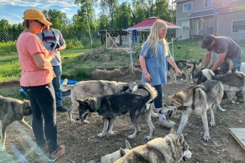 Summer Sled Dog Kennel Tour - Final Thoughts: Is This the Experience for You?